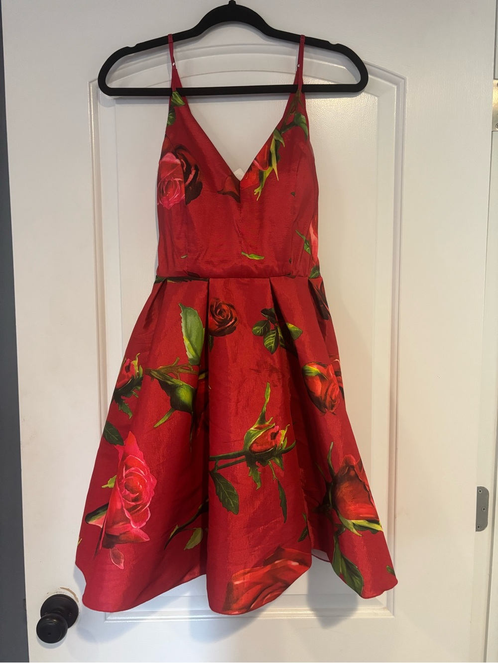 Red Floral Rose Print Party Dress